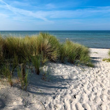 Haus Suedwester Hummer Insel Poel Exterior foto
