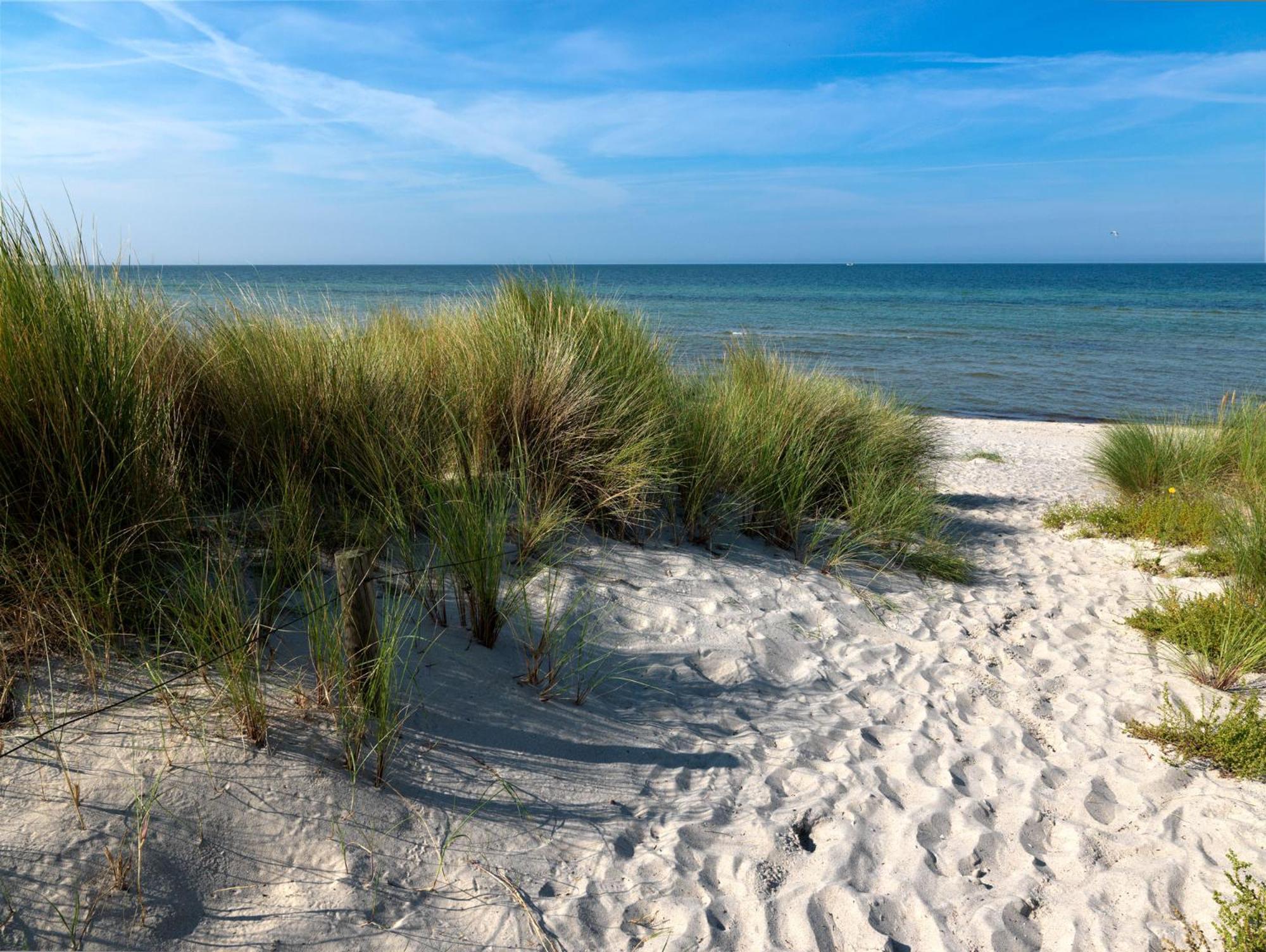 Haus Suedwester Hummer Insel Poel Exterior foto